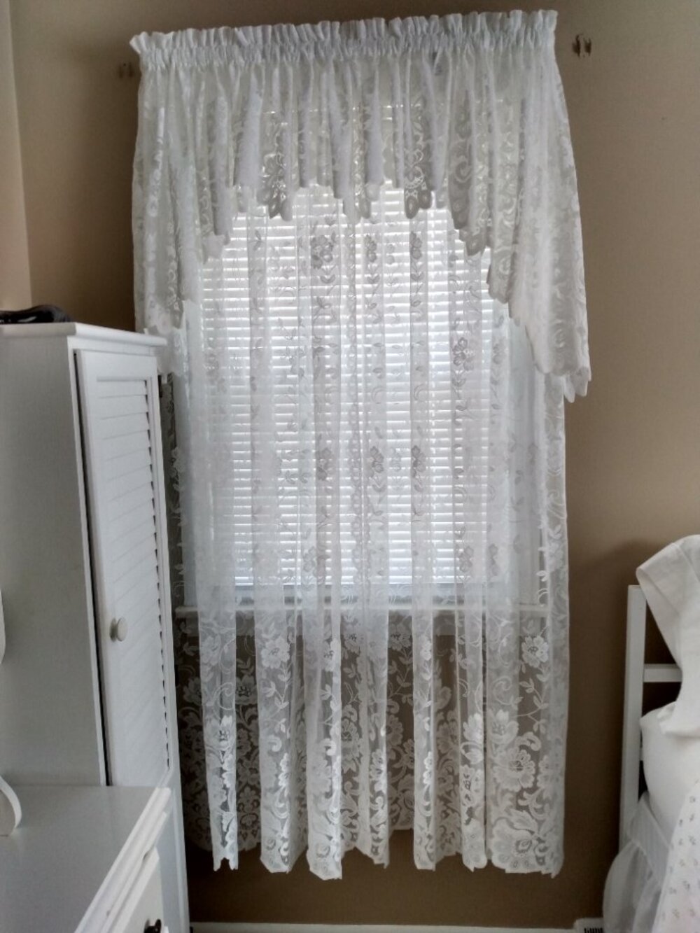 JCPenney's Shari lace curtains